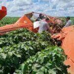 Avião agrícola cai e piloto sobrevive em Mato Grosso