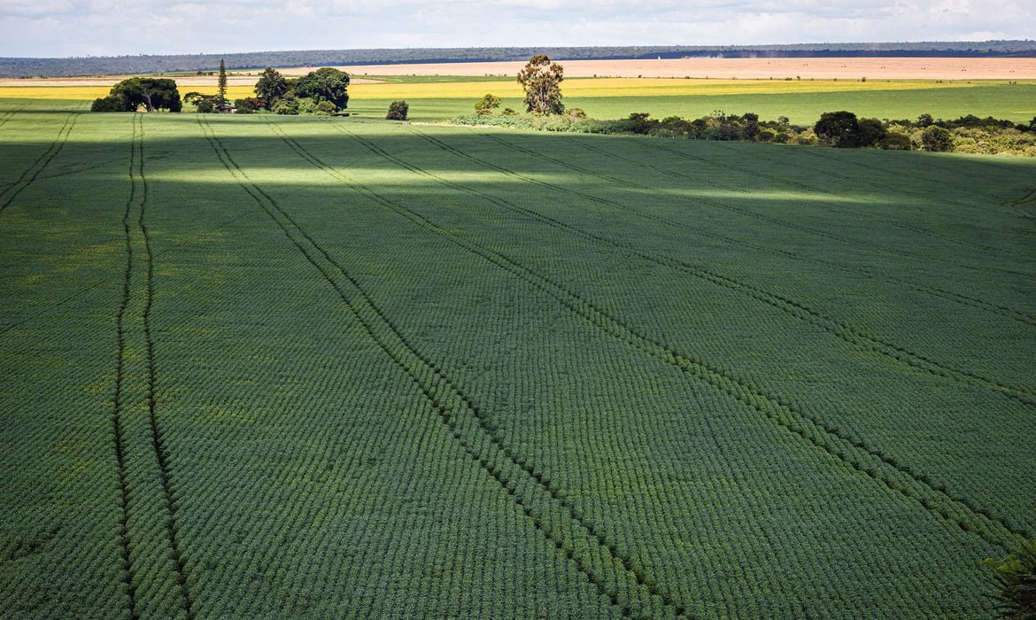 Berco das aguas Cerrado recebe 600 mi de litros de agrotoxico por ano