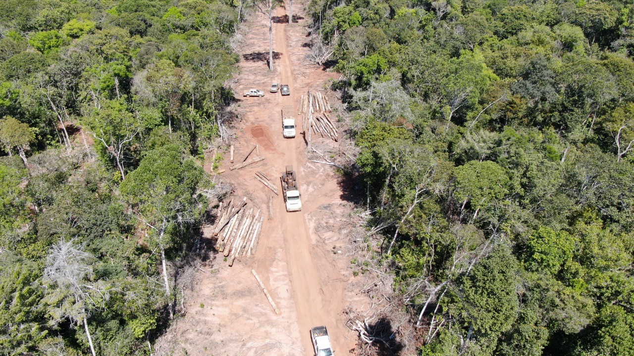 Operacao bloqueia madeireiras envolvidas em crimes ambientais contra unidade de conservacao no norte de Mato Grosso