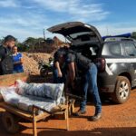 Policia Civil incinera 70 quilos de entorpecentes em Ribeirao Cascalheira