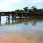 Vendedor de produtos de pesca morre apos caminhonete cair de cima de ponte em Mato Grosso