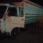 Família é feita refém e bandidos tentam roubar gado