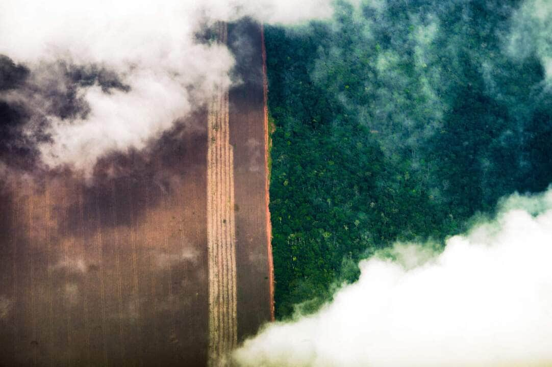 desmatamento na Amazônia