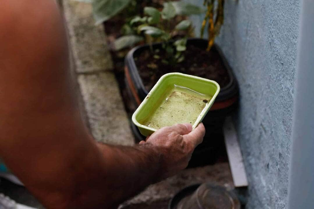 casos de dengue na cidade de sao paulo chegam a 7 230 scaled