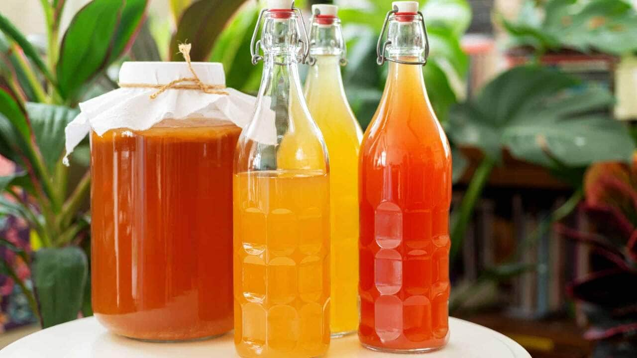 como fazer kombucha