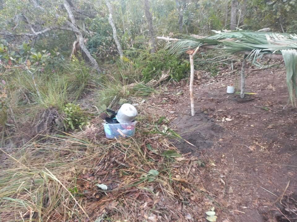 Reprodução | Internet