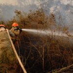 Combate aos incêndios no Pantanal, em Poconé  - Foto por: Mayke Toscano/Secom