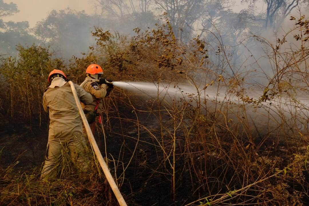 Combate aos incêndios no Pantanal, em Poconé  - Foto por: Mayke Toscano/Secom