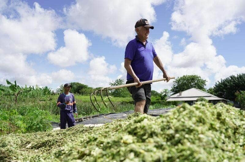 prefeitura oferece servicos de maquinario para colheita de silagem dos produtores rurais