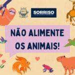 prefeitura reforca novamente nao alimente animais silvestres