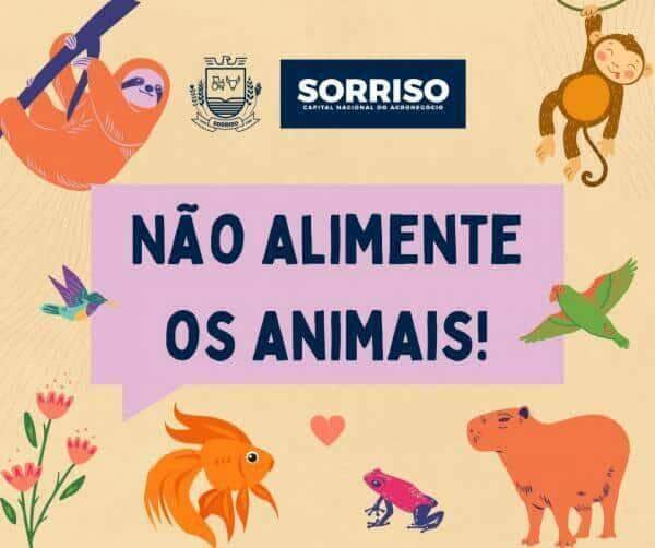 prefeitura reforca novamente nao alimente animais silvestres