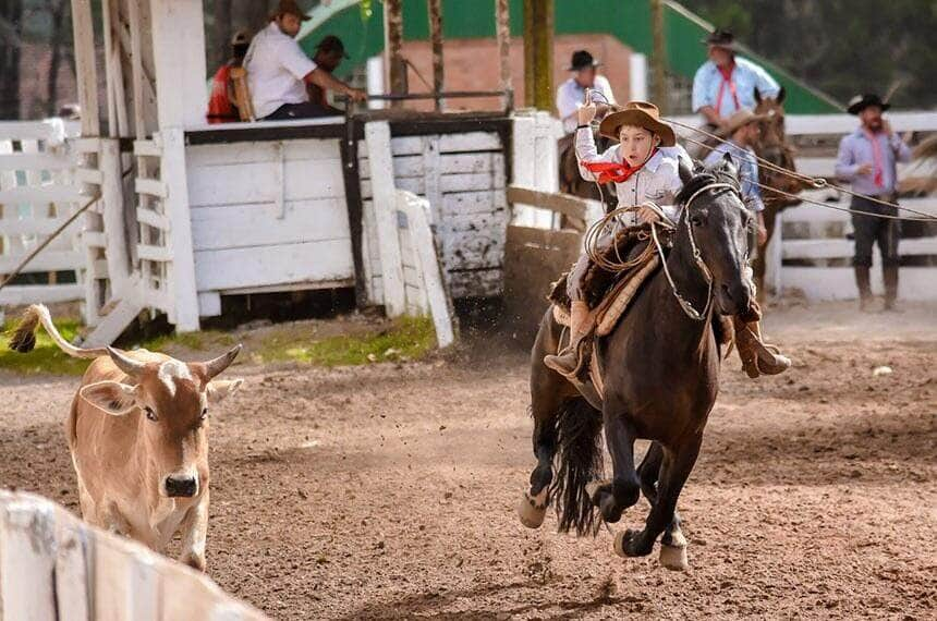 rodeio crioulo