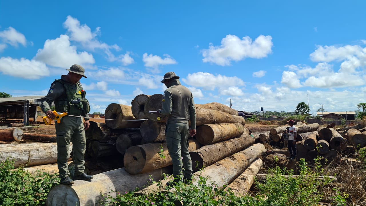 Operação Amazônia fiscaliza madeireiras em Colniza  - Foto por: Sema-MT