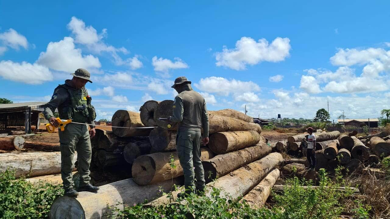 Operação Amazônia fiscaliza madeireiras em Colniza  - Foto por: Sema-MT