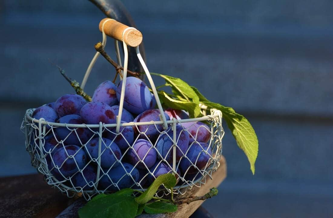 Estas são as frutas que funcionam como um laxante natural