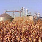 Produção de grãos ressalta gargalo de armazenagem em Mato Grosso
