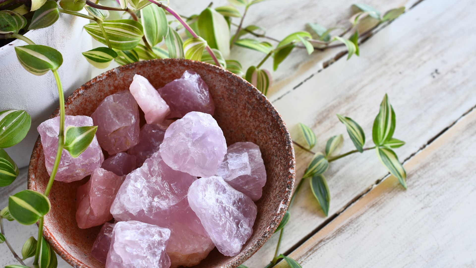3 signos que precisam de um quartzo rosa urgente; entenda 3 3 signos que precisam de um quartzo rosa urgente; entenda | Canva