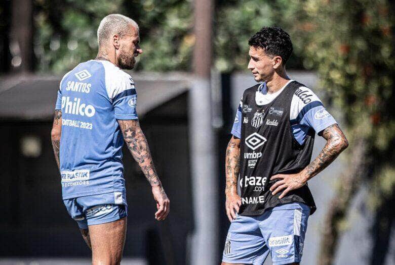 Santos x Goiás; onde assistir ao vivo o jogo deste domingo (9) pelo Brasileirão. Foto: Raul Baretta/Santos FC