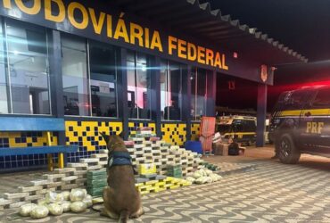 PRF apreende 180kg de cocaína durante fiscalização em Rondonópolis