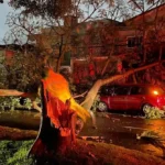 5 cidades decretam situacao de emergencia e mais de 80 relatam estragos apos ciclone em SC