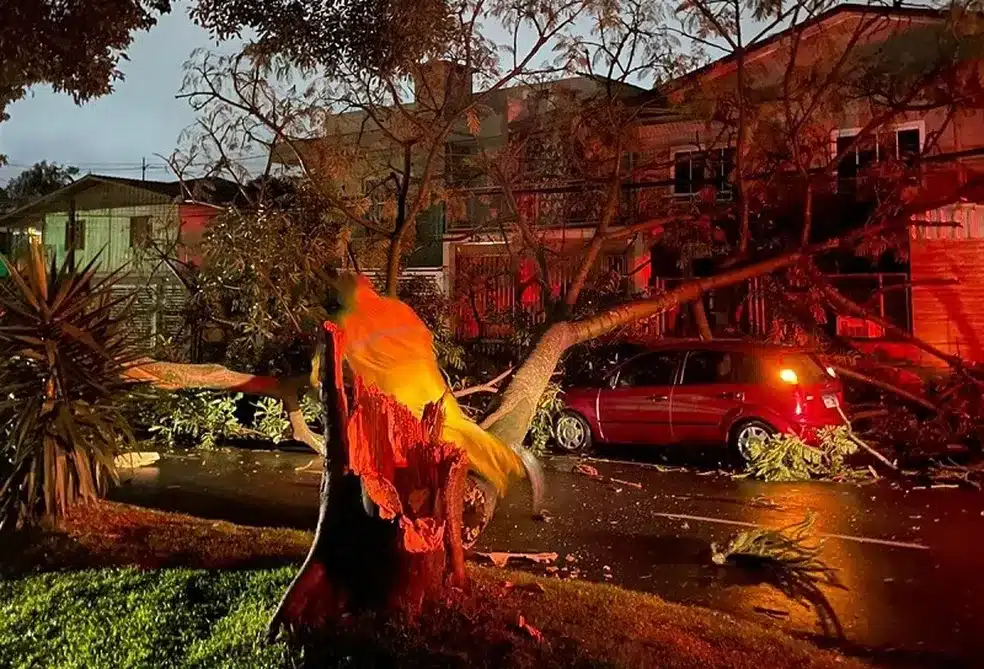 5 cidades decretam situacao de emergencia e mais de 80 relatam estragos apos ciclone em SC