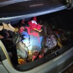 PRF resgata 22 galos que seriam utilizados em “rinha” em Mato Grosso