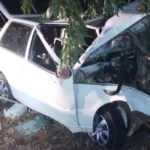 Acidente em rodovia de Mato Grosso deixa duas vítimas fatais após atropelamento de anta