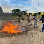 Bombeiros de Mato Grosso divulgam resultado final de processo para contratacao de brigadistas