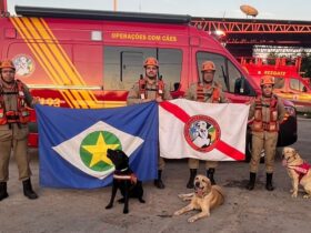 Bombeiros e caes de Mato Grosso auxiliam nas buscas por pessoas desaparecidas no RS