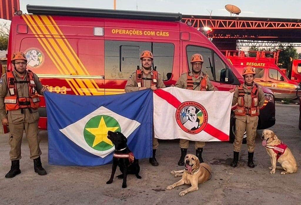 Bombeiros e caes de Mato Grosso auxiliam nas buscas por pessoas desaparecidas no RS