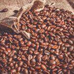 Mato Grosso avança para a 9ª posição na produção nacional de café