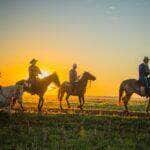 Governo do Estado institui Dia da Cavalgada em Mato Grosso