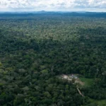 Cerca de 13 mil hectares foram desmatados na Terra Indigena Kawahiva em Mato Grosso