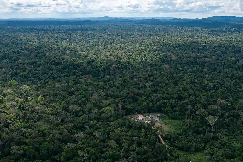 Cerca de 13 mil hectares foram desmatados na Terra Indigena Kawahiva em Mato Grosso