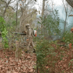 Cinco equipes do Corpo de Bombeiros combatem incendio florestal em Mato Grosso