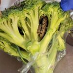 Cliente encontra cobra viva enrolada em brocolis comprado em mercado