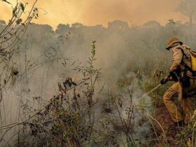 Comissao do Pantanal vai ouvir Ricardo Salles sobre queimadas na terca feira 2020 10 09 192231
