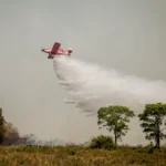 Bombeiros combatem incêndios no Pantanal de MT — Foto: Corpo de Bombeiros