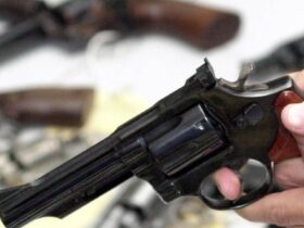 Governo altera decretos para ampliar acesso a armas e municoes
