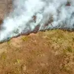 Incêndio persiste em parque no Pantanal de Mato Grosso