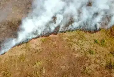 Incêndio persiste em parque no Pantanal de Mato Grosso