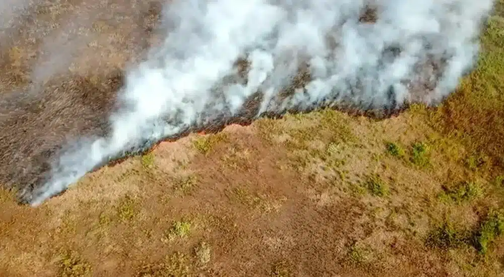 Incêndio persiste em parque no Pantanal de Mato Grosso