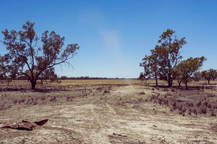 Justica de Mato Grosso impoe fianca de 50 salarios a fazendeiro por descumprir embargo