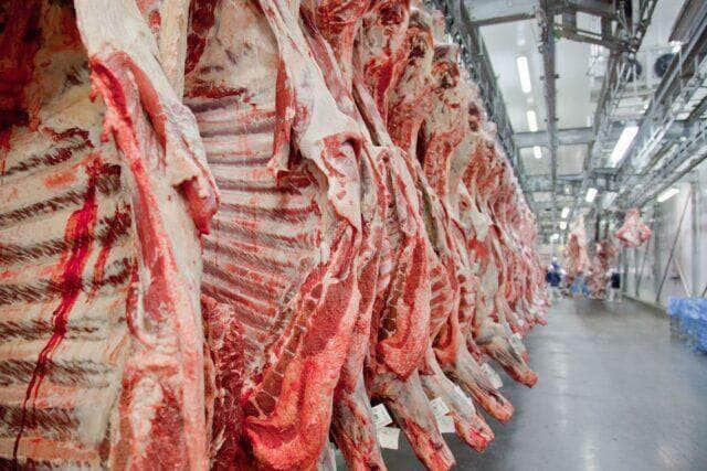 Mato Grosso bate recorde no volume de carne bovina exportada