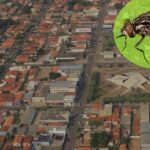 Ministerio Publico de Mato Grosso estabelece medidas para evitar e combater mosca dos estabulos
