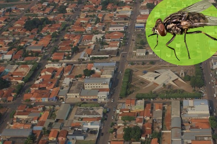 Ministerio Publico de Mato Grosso estabelece medidas para evitar e combater mosca dos estabulos