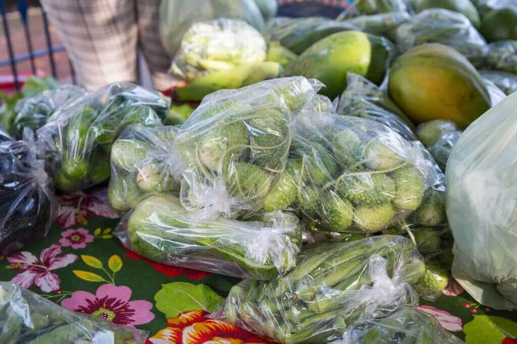 Nova lei vai fomentar o empreendedorismo em producao agroecologica em Mato Grosso