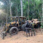 Operacao Amazonia desmobiliza extracao ilegal de madeira dentro de reserva em Mato Grosso