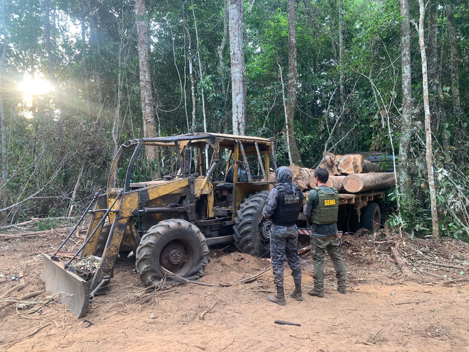 Operacao Amazonia desmobiliza extracao ilegal de madeira dentro de reserva em Mato Grosso