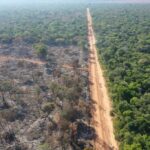 Operação integrada resulta na aplicação de R$ 325 mil em multas ambientais em Mato Grosso